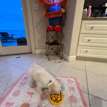 The Original Massive Customs Personalized Slow Feeder Dog & Cat Bowl