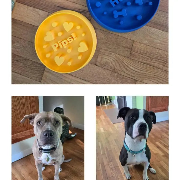 The Original Massive Customs Personalized Slow Feeder Dog & Cat Bowl